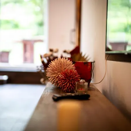 Fledermaus Kg 1 Apartment